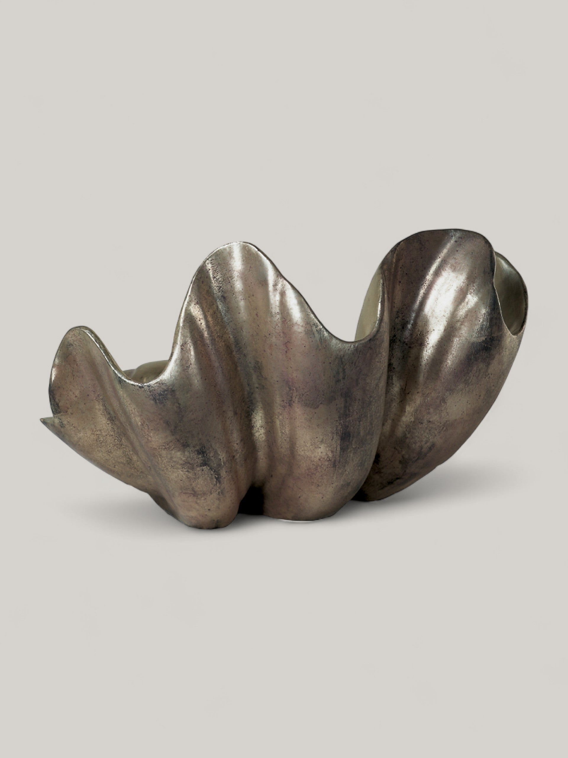 Silver Leaf Shell
