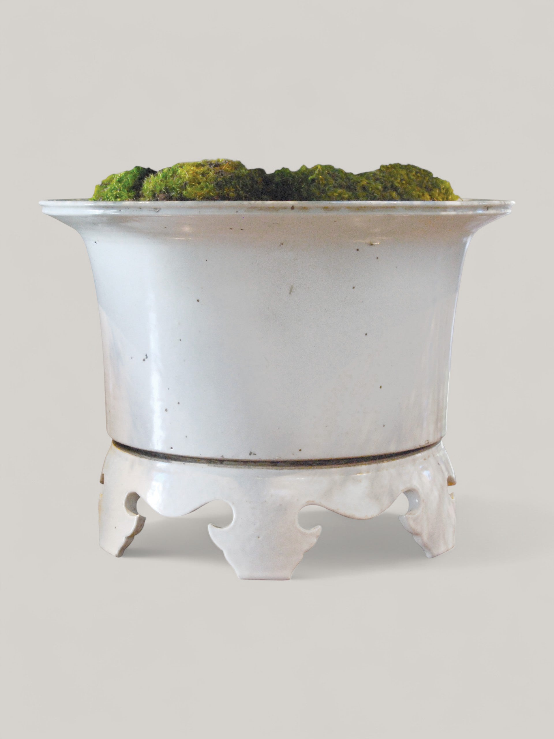 Blanc De Chine Cache Pot