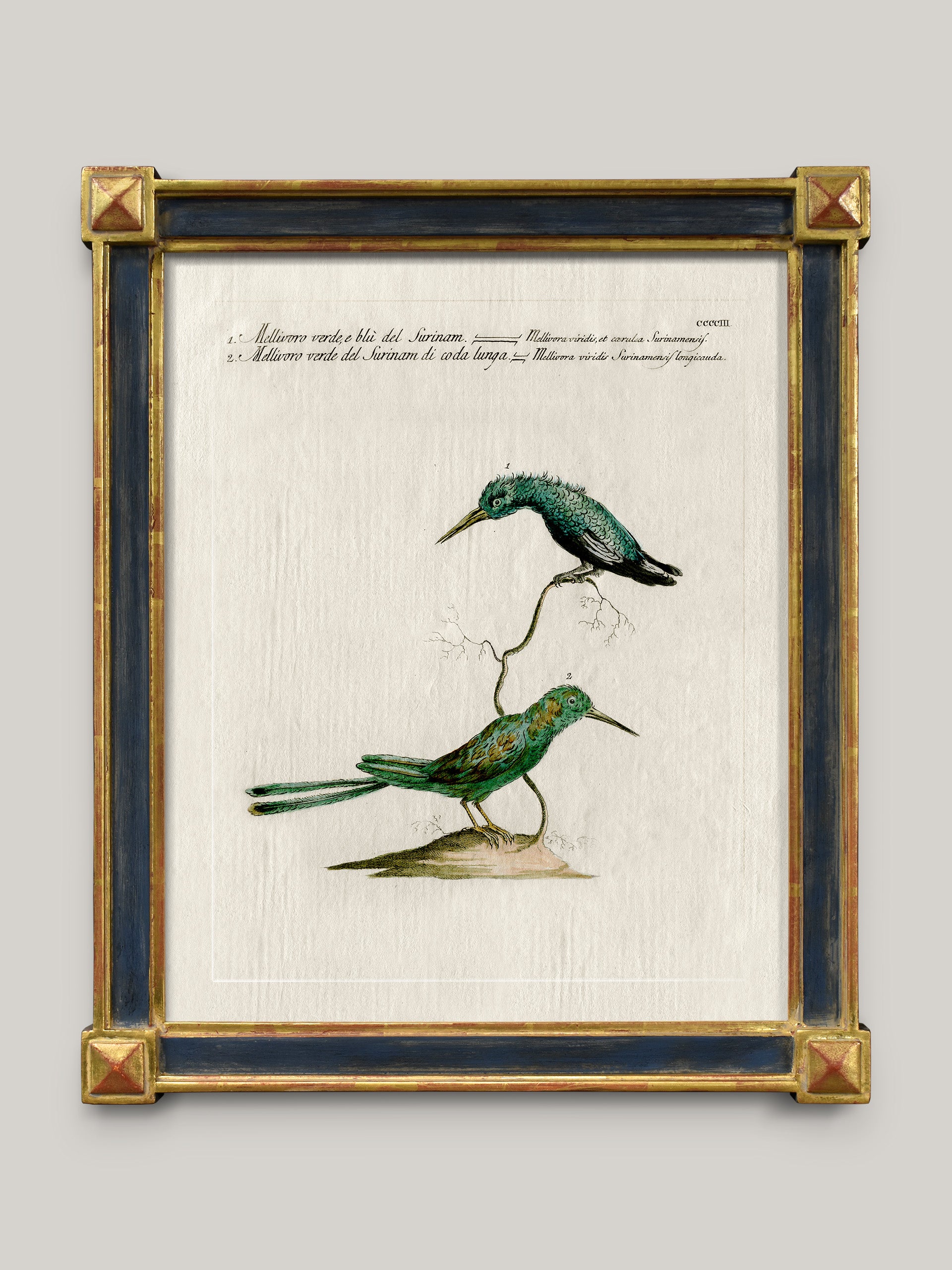 Aviary Framed Bird Prints