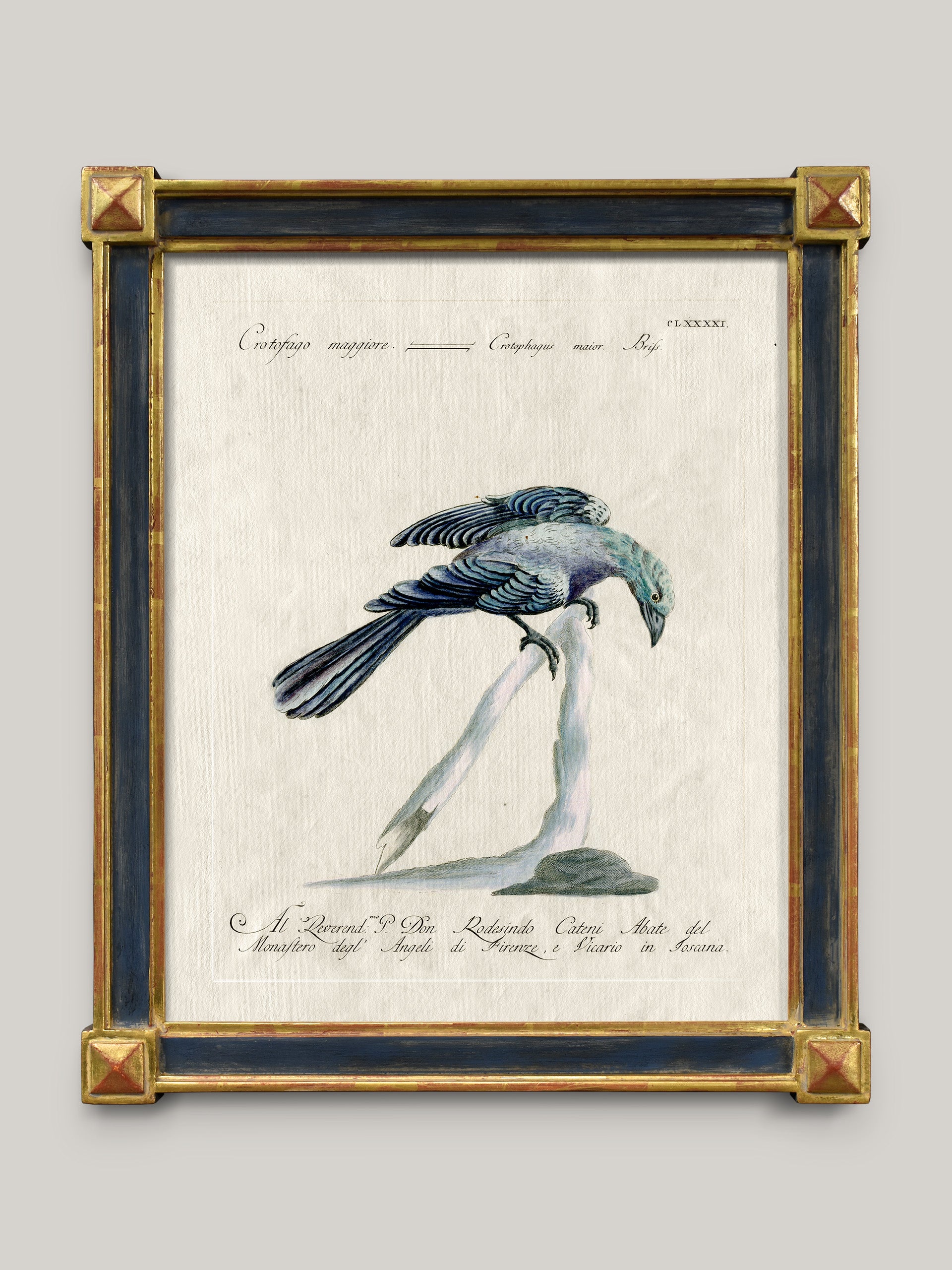 Aviary Framed Bird Prints
