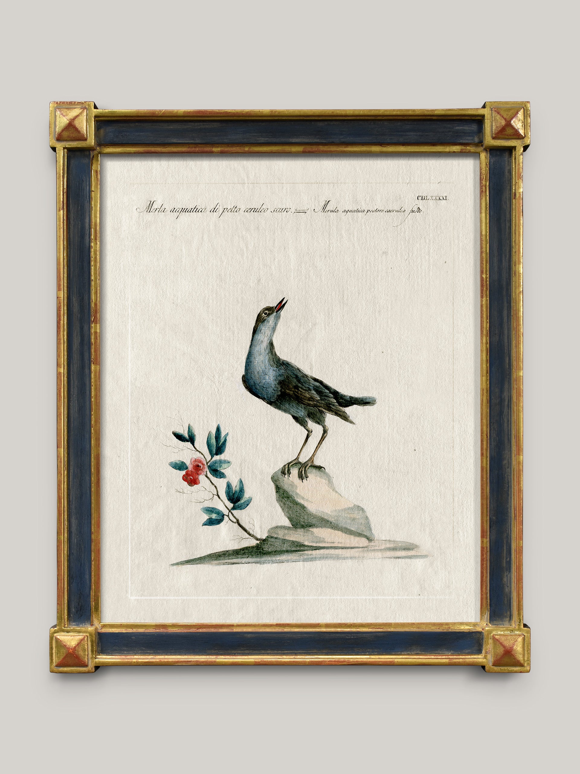 Aviary Framed Bird Prints