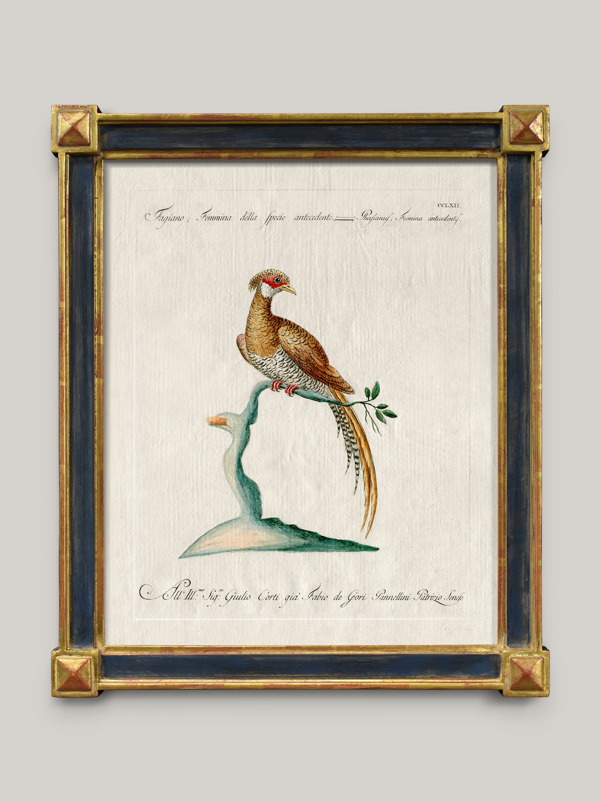 Aviary Framed Bird Prints