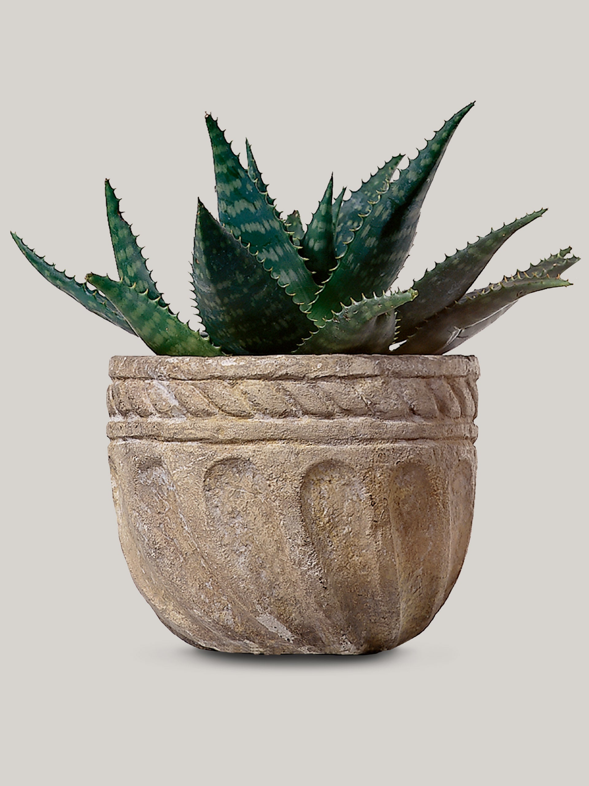 Roman Bowl